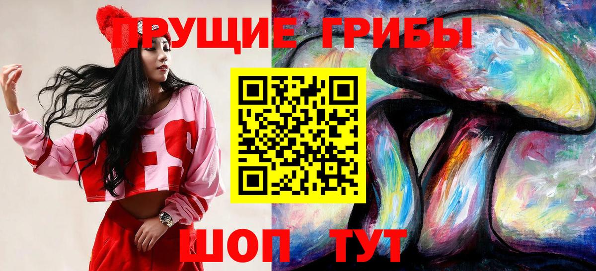 Галлюциногенные грибы прущие грибы  Псилоцибиновые грибы Psilocybe  Вход с VPN  Реж 