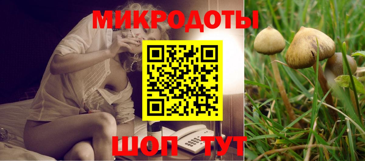 Галлюциногенные грибы Psilocybine cubensis Реж